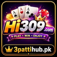 HI309 Game