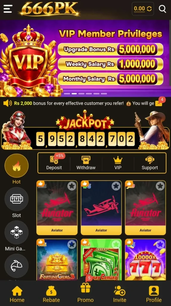 666PK App Interface